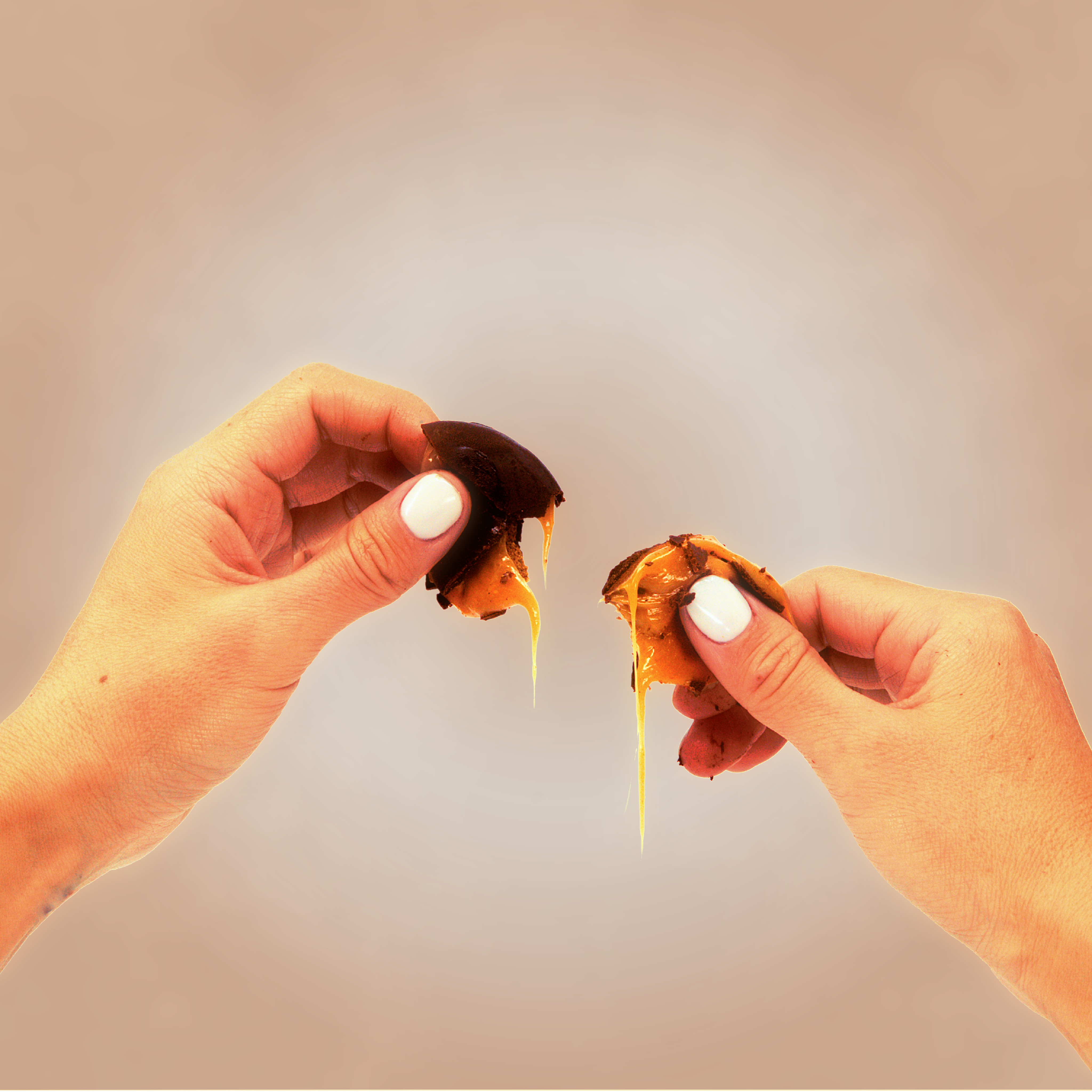 Transcendence Chocolate